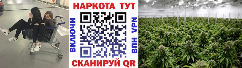 Магазины продажи наркотиков Новотроицк ГАШИШ АМФЕТАМИН A-PVP KRAKEN tor МЕФ Кокаин Конопля