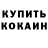 КОКАИН Fish Scale horse konnik