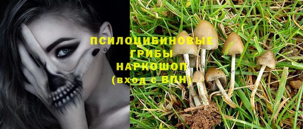 прущий лед Арсеньев