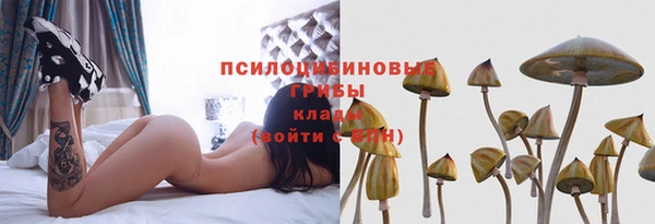 трава Армянск