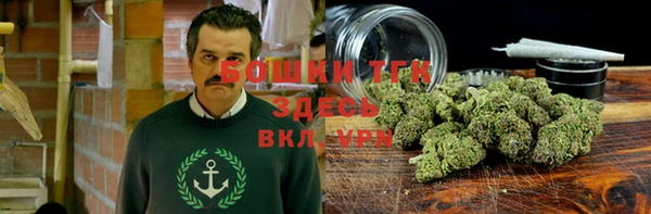 прущий лед Арсеньев