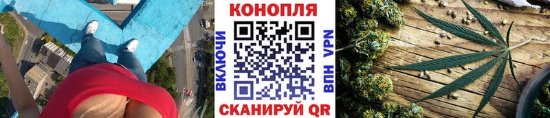дарнет шоп  Новотроицк  Канабис VHQ 